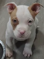 processed/e593dd21-ca74-4fd8-bd51-daeba9453a6f/listing/18a92a8d-3885-4625-959e-295e336bc5e6/2f0a1aed-e944-4b27-bbdf-2f7000fc7fe8