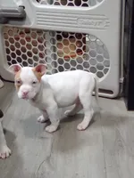 processed/e593dd21-ca74-4fd8-bd51-daeba9453a6f/listing/18a92a8d-3885-4625-959e-295e336bc5e6/de950472-e2ff-4ff4-813b-cabeed33fc2b