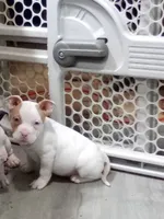 processed/e593dd21-ca74-4fd8-bd51-daeba9453a6f/listing/18a92a8d-3885-4625-959e-295e336bc5e6/eae0a164-702d-4732-ab74-0674fcc8b082