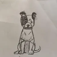 🐾 Aspen 🏔️, a male American Bully and American Pit Bull Terrier for sale in Ovilla, TX – Photo 3 of 5