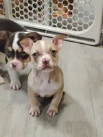 processed/e593dd21-ca74-4fd8-bd51-daeba9453a6f/listing/3c5cd4d3-43b4-42e8-af2b-8ea5b33508e7/421e7842-1a96-49ff-802b-195f5b08b2bd