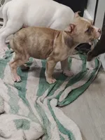 processed/e593dd21-ca74-4fd8-bd51-daeba9453a6f/listing/3c5cd4d3-43b4-42e8-af2b-8ea5b33508e7/93654c78-40a6-4863-99c2-633cdb0a6556