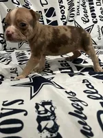 processed/e593dd21-ca74-4fd8-bd51-daeba9453a6f/listing/3c5cd4d3-43b4-42e8-af2b-8ea5b33508e7/e56c218c-c544-4d9c-9afc-aab050dfa87f