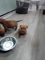 processed/e593dd21-ca74-4fd8-bd51-daeba9453a6f/listing/502bf5b9-b3ce-42bd-a877-d3cc246c7037/e65cc9da-88a6-4123-bb22-64ccde14e1da