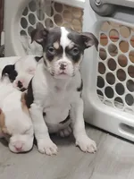 processed/e593dd21-ca74-4fd8-bd51-daeba9453a6f/listing/7bf74c0c-f621-451e-a36a-0b100d7b37d0/26040ba0-5db5-4289-a843-dc3d0b8ccad5