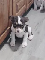 processed/e593dd21-ca74-4fd8-bd51-daeba9453a6f/listing/7bf74c0c-f621-451e-a36a-0b100d7b37d0/47a39ef4-a21c-4177-b1f4-96f99fcd6f7e