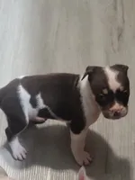 processed/e593dd21-ca74-4fd8-bd51-daeba9453a6f/listing/7bf74c0c-f621-451e-a36a-0b100d7b37d0/5536c2de-5bc5-4630-9e53-fa56066a07df