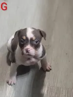 processed/e593dd21-ca74-4fd8-bd51-daeba9453a6f/listing/7bf74c0c-f621-451e-a36a-0b100d7b37d0/730b2077-43ad-43c0-ab09-d6af1dd1e44a