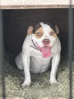 processed/e593dd21-ca74-4fd8-bd51-daeba9453a6f/listing/9c9d1a36-ec13-4194-be3c-080dfee45a58/60c56750-5367-4618-b127-588a4ebb0181