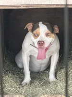 processed/e593dd21-ca74-4fd8-bd51-daeba9453a6f/listing/9c9d1a36-ec13-4194-be3c-080dfee45a58/8bddf126-3077-4c66-b2ba-0ec30e6891a0