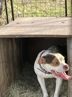 processed/e593dd21-ca74-4fd8-bd51-daeba9453a6f/listing/9c9d1a36-ec13-4194-be3c-080dfee45a58/e0378fa9-1d8c-4b15-a3a6-7e9fb8582a95