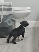 processed/e593dd21-ca74-4fd8-bd51-daeba9453a6f/listing/bf5a7f3c-c75e-4a4a-9618-57f58d83411c/e5eb8813-0c95-412c-8b34-9834d3b0eb63