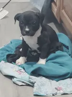 processed/e593dd21-ca74-4fd8-bd51-daeba9453a6f/listing/bf5a7f3c-c75e-4a4a-9618-57f58d83411c/e98739bc-0c10-451a-9f4b-64cabd8537d0