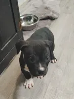 processed/e593dd21-ca74-4fd8-bd51-daeba9453a6f/listing/bf5a7f3c-c75e-4a4a-9618-57f58d83411c/fcdc7df1-99d1-4c1c-b53e-706e4dce16b3