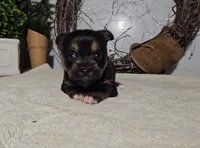 processed/e5975588-84f8-4e16-ac04-3da02ad36d77/listing/ffc42bda-023b-48ed-920c-8e6dfc539e6c/01e93b85-b82a-4856-8760-403284ca1c3a