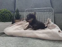 processed/e5975588-84f8-4e16-ac04-3da02ad36d77/listing/ffc42bda-023b-48ed-920c-8e6dfc539e6c/051a2cd9-79dd-46b1-9f9a-b786bd55310b