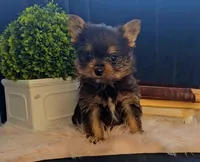 processed/e5975588-84f8-4e16-ac04-3da02ad36d77/listing/ffc42bda-023b-48ed-920c-8e6dfc539e6c/2f288c63-f9ea-4ef7-b4ae-4ea5aeab0136