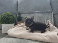 processed/e5975588-84f8-4e16-ac04-3da02ad36d77/listing/ffc42bda-023b-48ed-920c-8e6dfc539e6c/3c93b28b-d161-4e65-92b6-43ab47fdad81