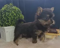 processed/e5975588-84f8-4e16-ac04-3da02ad36d77/listing/ffc42bda-023b-48ed-920c-8e6dfc539e6c/c8d7b53a-77e9-4e67-b951-b9ef2db6786e