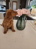 processed/e59a7e8d-7b67-4ebb-88d1-ebb35c10be23/listing/53a346dc-1c23-4131-9937-5515b05993d5/26b87671-003f-4929-9bc6-6741d2ca9e47