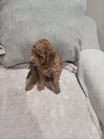 processed/e59a7e8d-7b67-4ebb-88d1-ebb35c10be23/listing/53a346dc-1c23-4131-9937-5515b05993d5/51e62b4f-991f-4c8a-b540-5ad30a635410