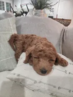 processed/e59a7e8d-7b67-4ebb-88d1-ebb35c10be23/listing/53a346dc-1c23-4131-9937-5515b05993d5/790c8e56-5bd8-46a3-9776-3ff6779579b7