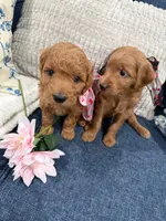 processed/e59a7e8d-7b67-4ebb-88d1-ebb35c10be23/listing/53a346dc-1c23-4131-9937-5515b05993d5/7b4f2f36-3d43-47d8-9aac-515e0bd61147