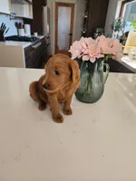 processed/e59a7e8d-7b67-4ebb-88d1-ebb35c10be23/listing/f3b2811c-2712-422c-aa15-e067856ad204/367ae732-9148-472c-9a5b-f53a5ec4a4de