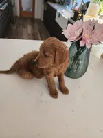 processed/e59a7e8d-7b67-4ebb-88d1-ebb35c10be23/listing/f3b2811c-2712-422c-aa15-e067856ad204/47d9927e-322c-40cb-9e78-a639b3d03fab