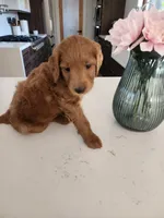 processed/e59a7e8d-7b67-4ebb-88d1-ebb35c10be23/listing/f3b2811c-2712-422c-aa15-e067856ad204/abcaf479-1f6e-40b2-89ba-ff6929e24c30