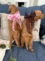 processed/e59a7e8d-7b67-4ebb-88d1-ebb35c10be23/listing/f3b2811c-2712-422c-aa15-e067856ad204/e677ef67-10fd-415b-8274-afa7995a3782