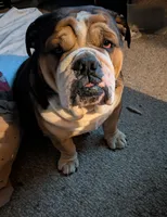 processed/e59fc1e5-bbcd-489b-9c32-6980f3651516/facility/6a8b9b70-61ff-436e-9160-9dac23375c19