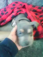 processed/e5a0f96e-fcfe-47e2-ae08-bf5382c06673/listing/10efee21-52d8-41da-8fe8-a9c5badae852/b238cbcf-d2d8-4206-87f8-75572f4bc2ed