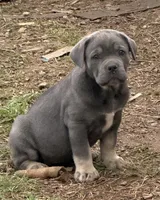 processed/e5ade28e-1270-4a52-9ab6-375a200861a1/facility/2c397a58-7059-49c2-8dd5-9042914caa4d