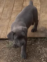 processed/e5ade28e-1270-4a52-9ab6-375a200861a1/facility/55d38581-4d81-4fa3-8c66-dbf7a0b2095b