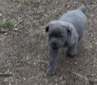 processed/e5ade28e-1270-4a52-9ab6-375a200861a1/facility/bd845978-a74c-4e89-b608-743a5223b723