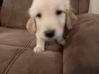 processed/e5b0db7b-f451-4011-a901-ec4bef178db1/listing/134f014f-9a4a-422c-93b5-9e7adb7d34ca/254ec9b7-6f1a-41dc-a928-aef06967637b