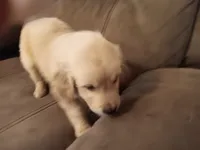 processed/e5b0db7b-f451-4011-a901-ec4bef178db1/listing/134f014f-9a4a-422c-93b5-9e7adb7d34ca/28904e62-98d5-4ca6-a56f-1a798534368a