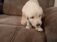 processed/e5b0db7b-f451-4011-a901-ec4bef178db1/listing/134f014f-9a4a-422c-93b5-9e7adb7d34ca/c6267c22-6b38-4aff-bbdf-fc2a1d96cdf0