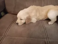 processed/e5b0db7b-f451-4011-a901-ec4bef178db1/listing/134f014f-9a4a-422c-93b5-9e7adb7d34ca/c6eca40f-6728-476a-b799-589d4194cf91