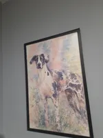 Moose, a male Great Dane for sale in Chocowinity, NC – 3 of 3