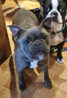 processed/e5bd8600-d475-44ed-b516-88296131838d/listing/7e9174ff-0b56-4904-a61c-599e1b628ce0/223cf54d-59f9-4f43-b4f1-85b7cda6bca5