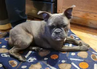 processed/e5bd8600-d475-44ed-b516-88296131838d/listing/7e9174ff-0b56-4904-a61c-599e1b628ce0/c5f46303-a752-481b-a12e-6aa8c3c9eff8