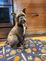 processed/e5bd8600-d475-44ed-b516-88296131838d/listing/7e9174ff-0b56-4904-a61c-599e1b628ce0/dd7aab3f-e310-41d6-bfaf-04e199989cc7