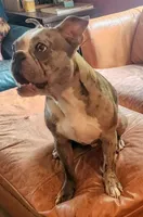 processed/e5bd8600-d475-44ed-b516-88296131838d/listing/8e4cc79d-1db2-42da-b640-25a5c8284ccb/3c5c1583-4710-4bda-8336-db58abbbb382