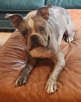 processed/e5bd8600-d475-44ed-b516-88296131838d/listing/8e4cc79d-1db2-42da-b640-25a5c8284ccb/3d9ea048-6573-4117-9920-7474aa721812