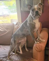 processed/e5bd8600-d475-44ed-b516-88296131838d/listing/8e4cc79d-1db2-42da-b640-25a5c8284ccb/495cd54c-a051-4aba-99d4-1de62fb89c9e