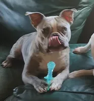 processed/e5bd8600-d475-44ed-b516-88296131838d/listing/8e4cc79d-1db2-42da-b640-25a5c8284ccb/5e2b4d69-ef43-49cb-bd57-1db37b97e2b4