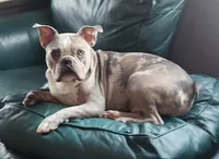 processed/e5bd8600-d475-44ed-b516-88296131838d/listing/8e4cc79d-1db2-42da-b640-25a5c8284ccb/8f0132ba-f0ef-4607-8988-15d796cb59a7