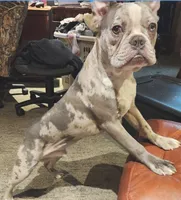 processed/e5bd8600-d475-44ed-b516-88296131838d/listing/8e4cc79d-1db2-42da-b640-25a5c8284ccb/90fcfc61-cf5c-4ca2-9180-6a62b90ec959